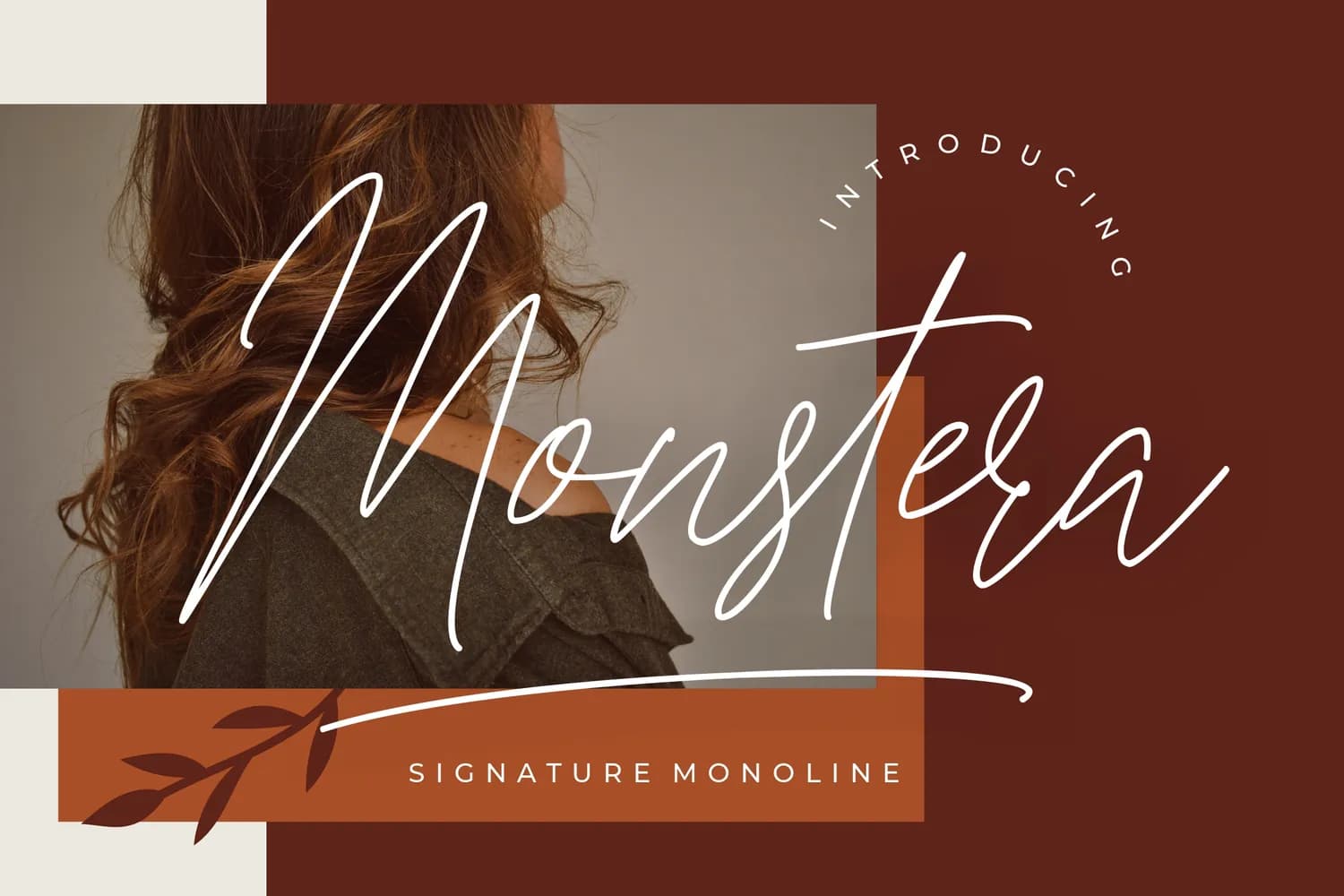 Monstera