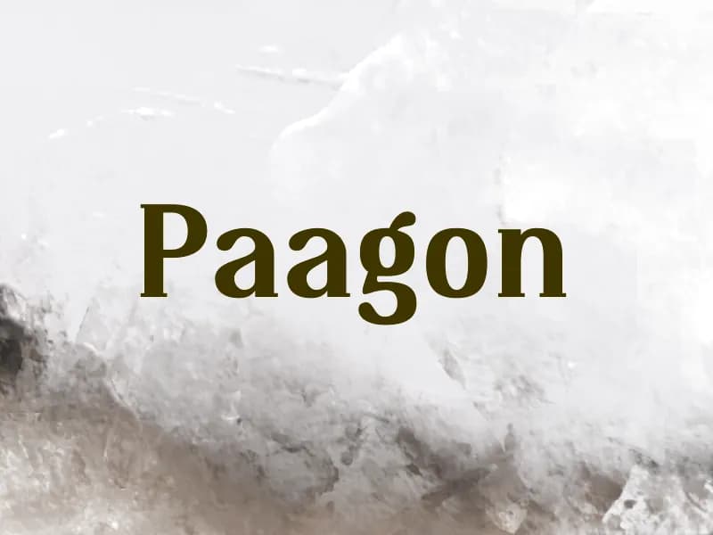 Paagon
