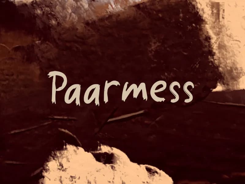 Paarmess