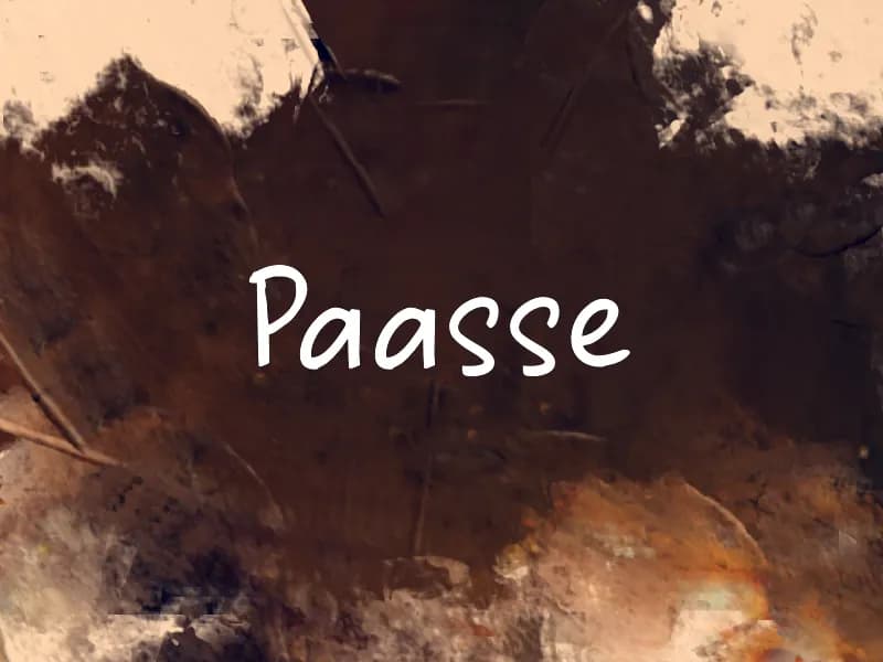 Paasse