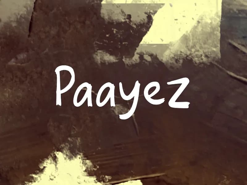Paayez