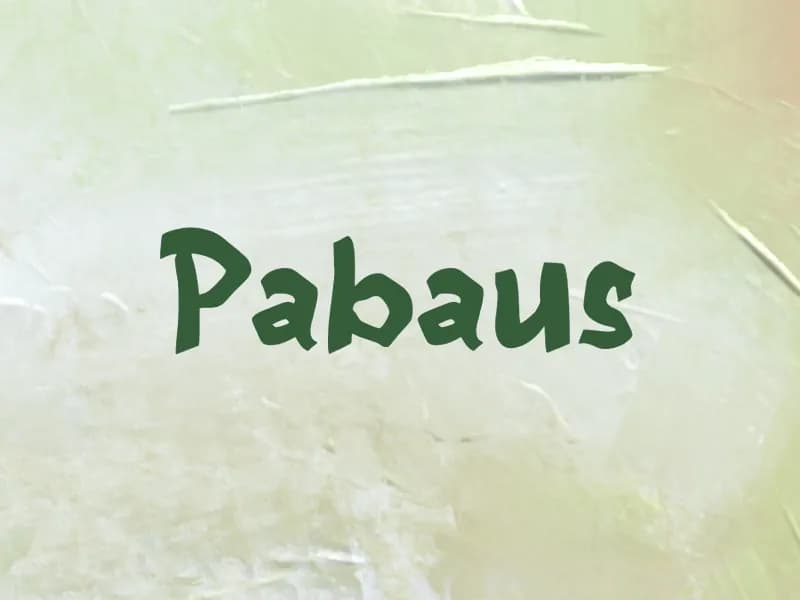 Pabaus