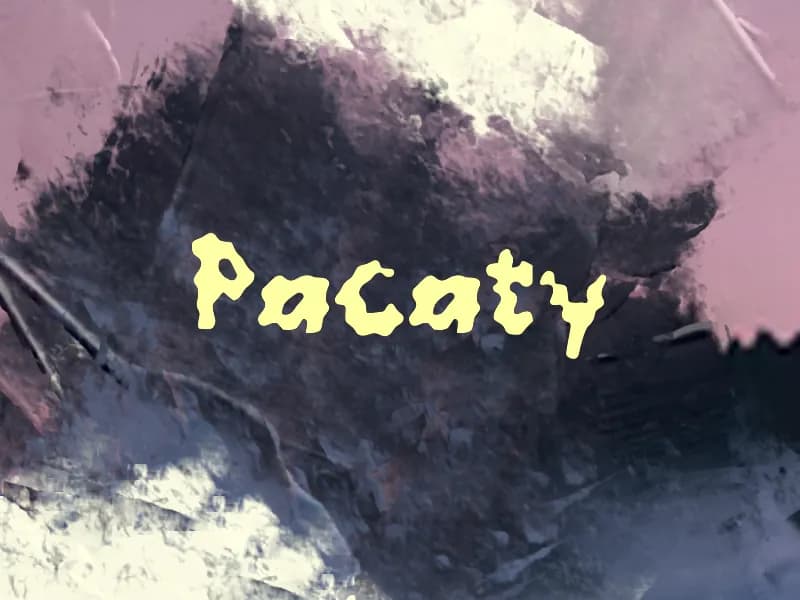 Pacaty