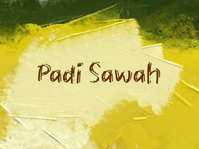 Padi Sawah