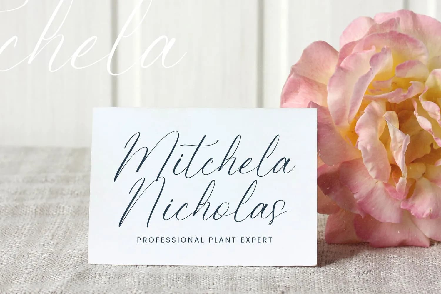 Petalip Orchid VERSION