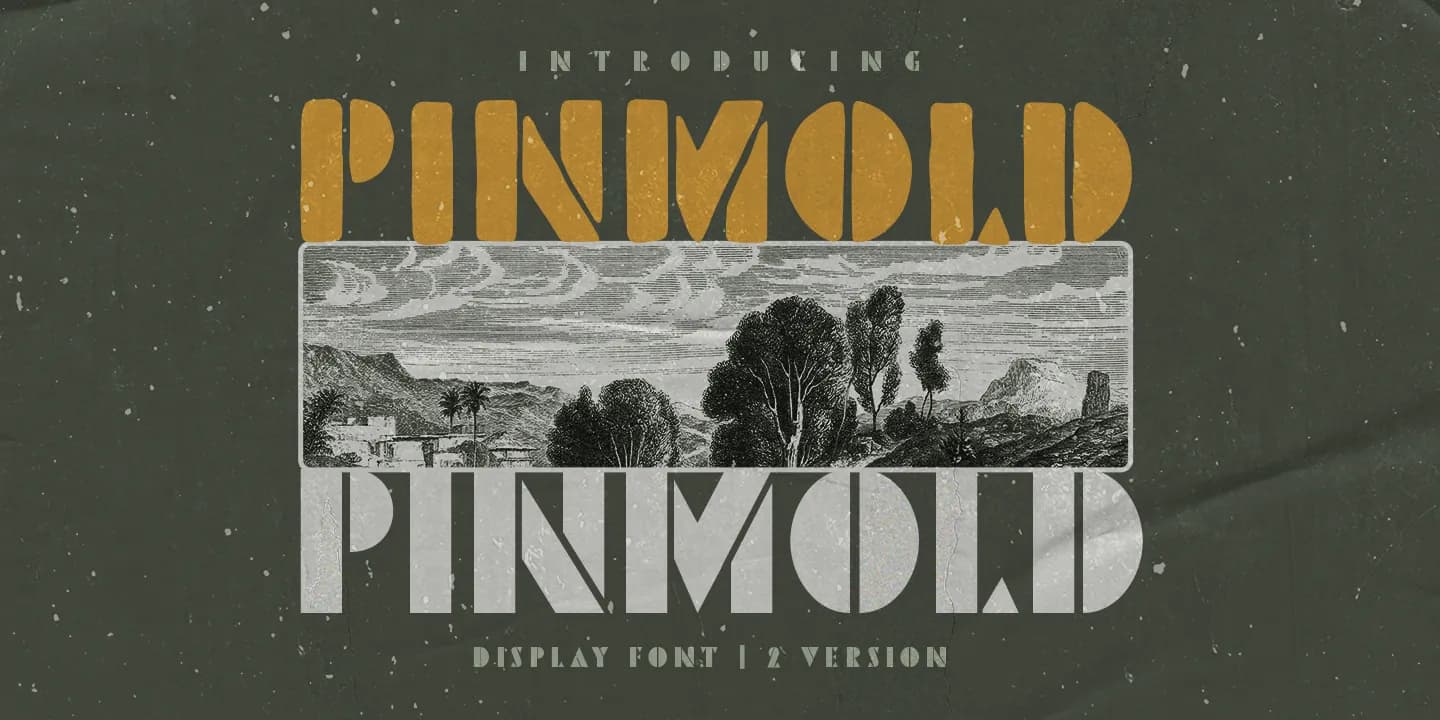 Pinmold DEMO