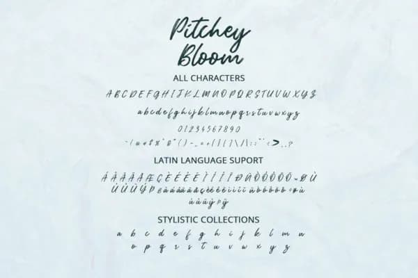 Pitchey Bloom