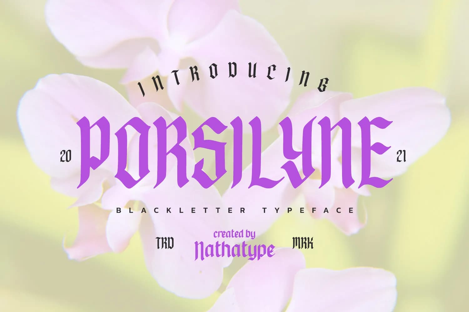 Porsilyne