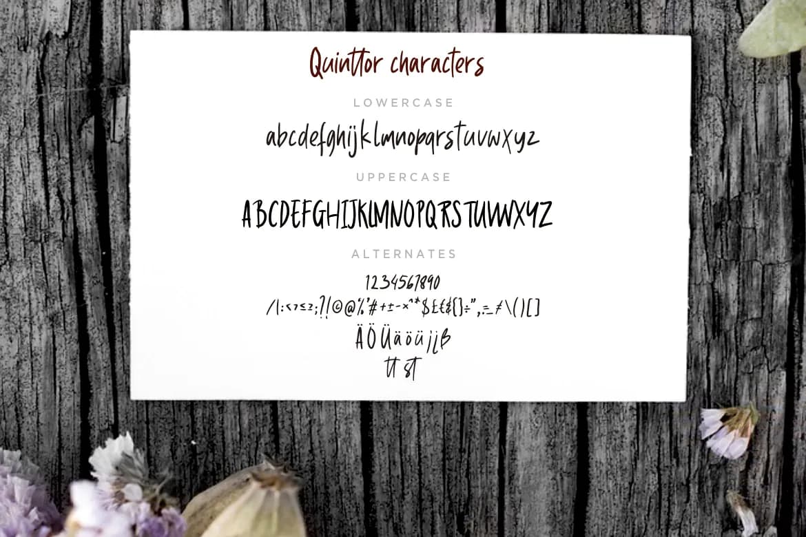 Quinttor Sans Serif