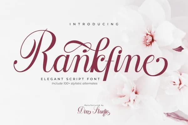 Rankfine