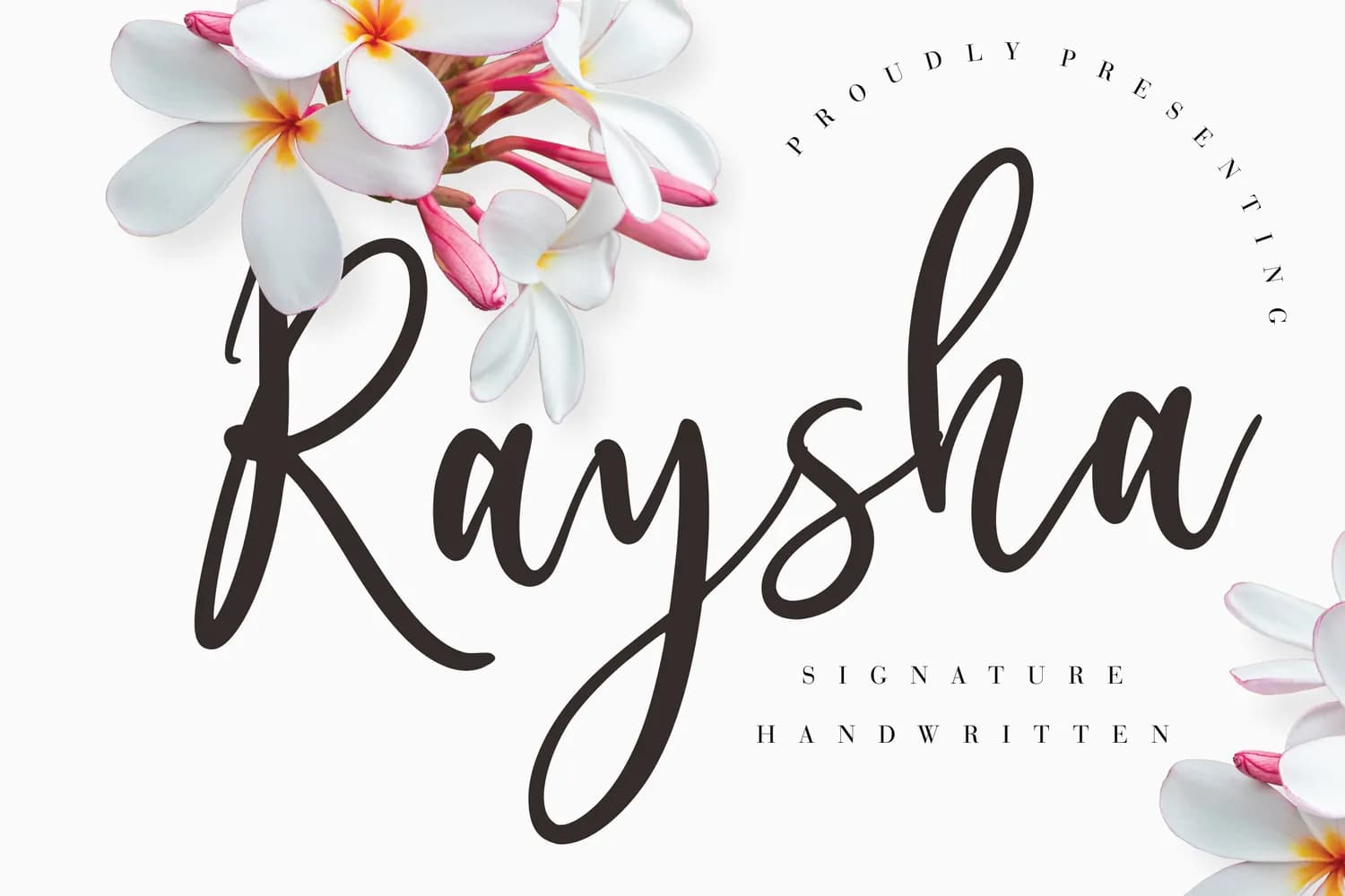Raysha