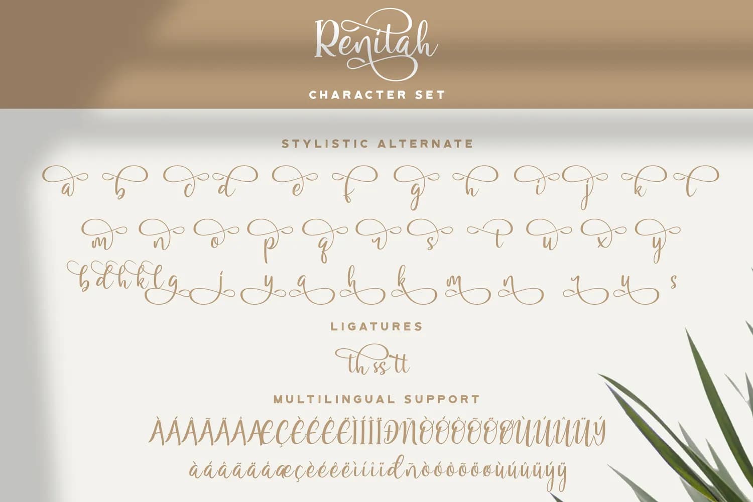 Renitah