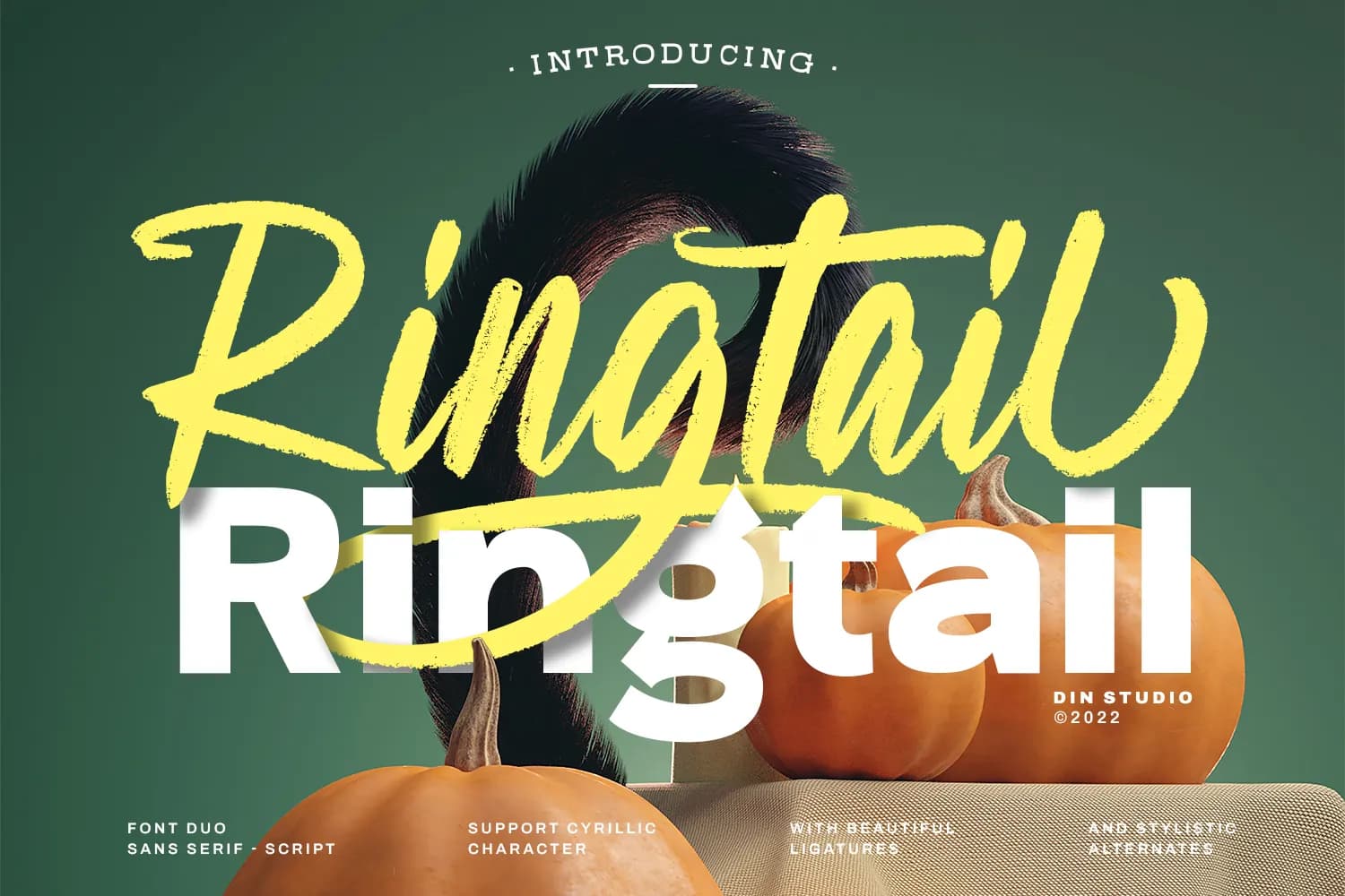 Ringtail Sans Serif Personal Us