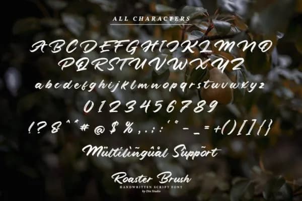 Roaster Brush