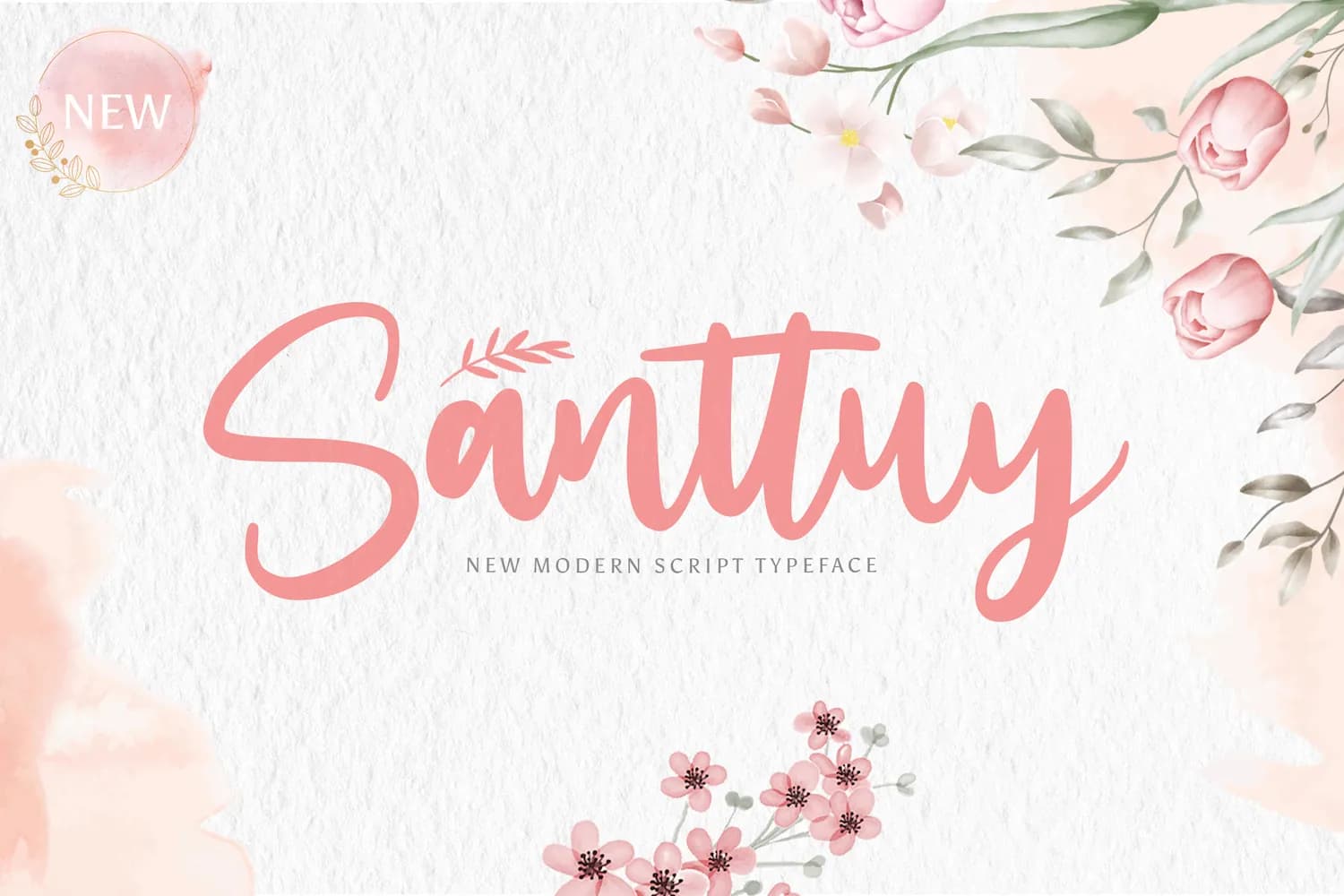Santtuy