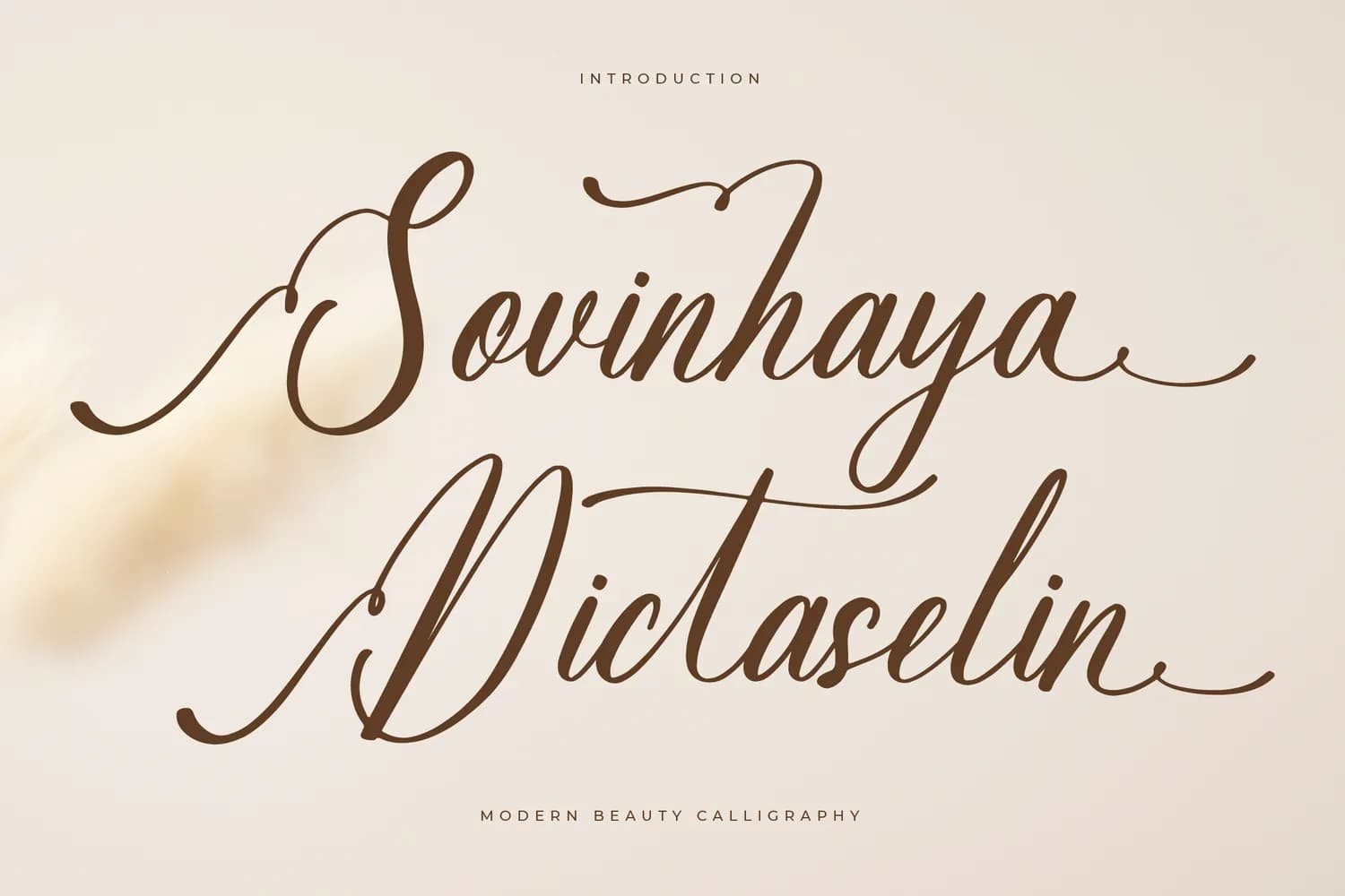 Sovinhaya Dictaselin