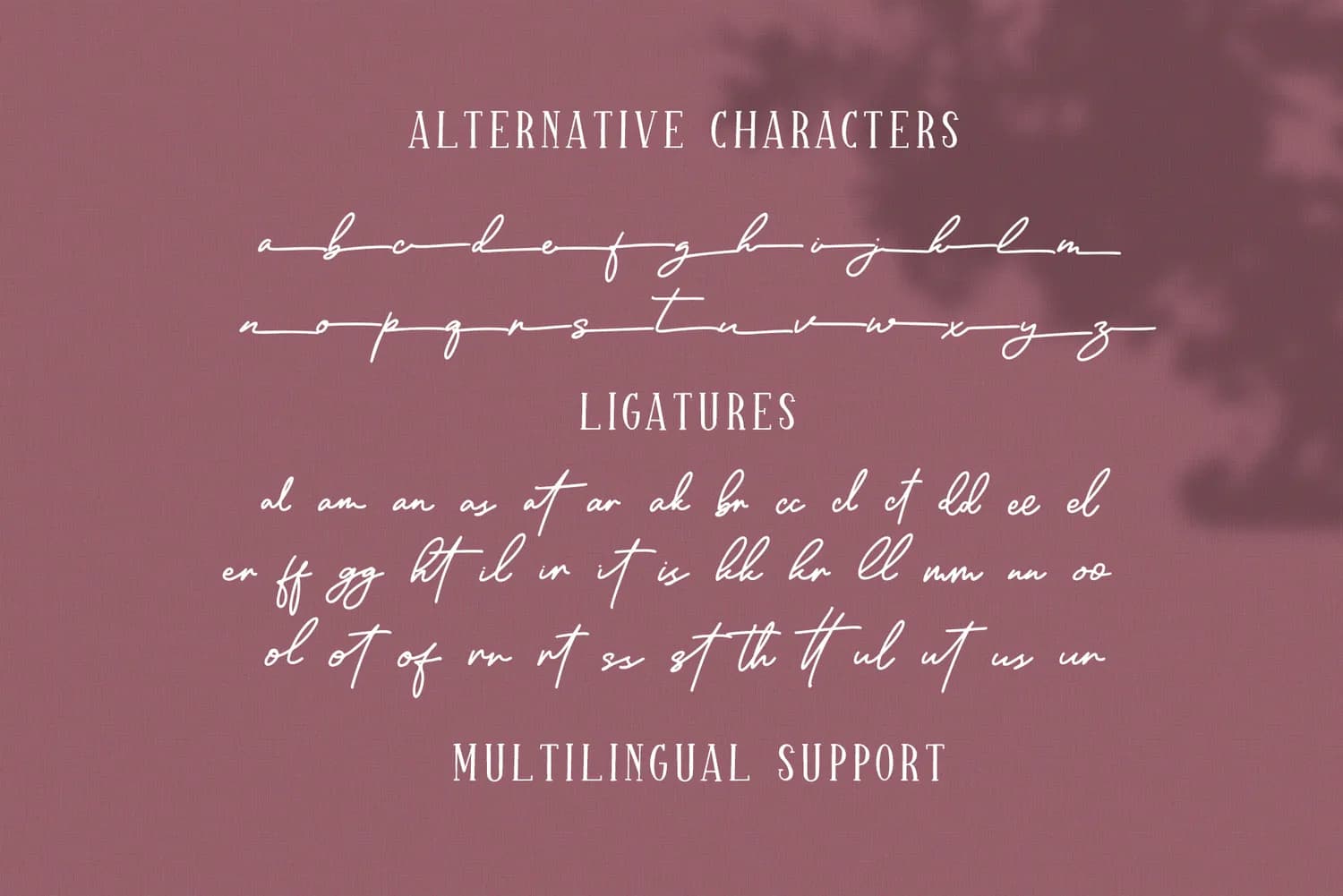Sparkling Bright Serif