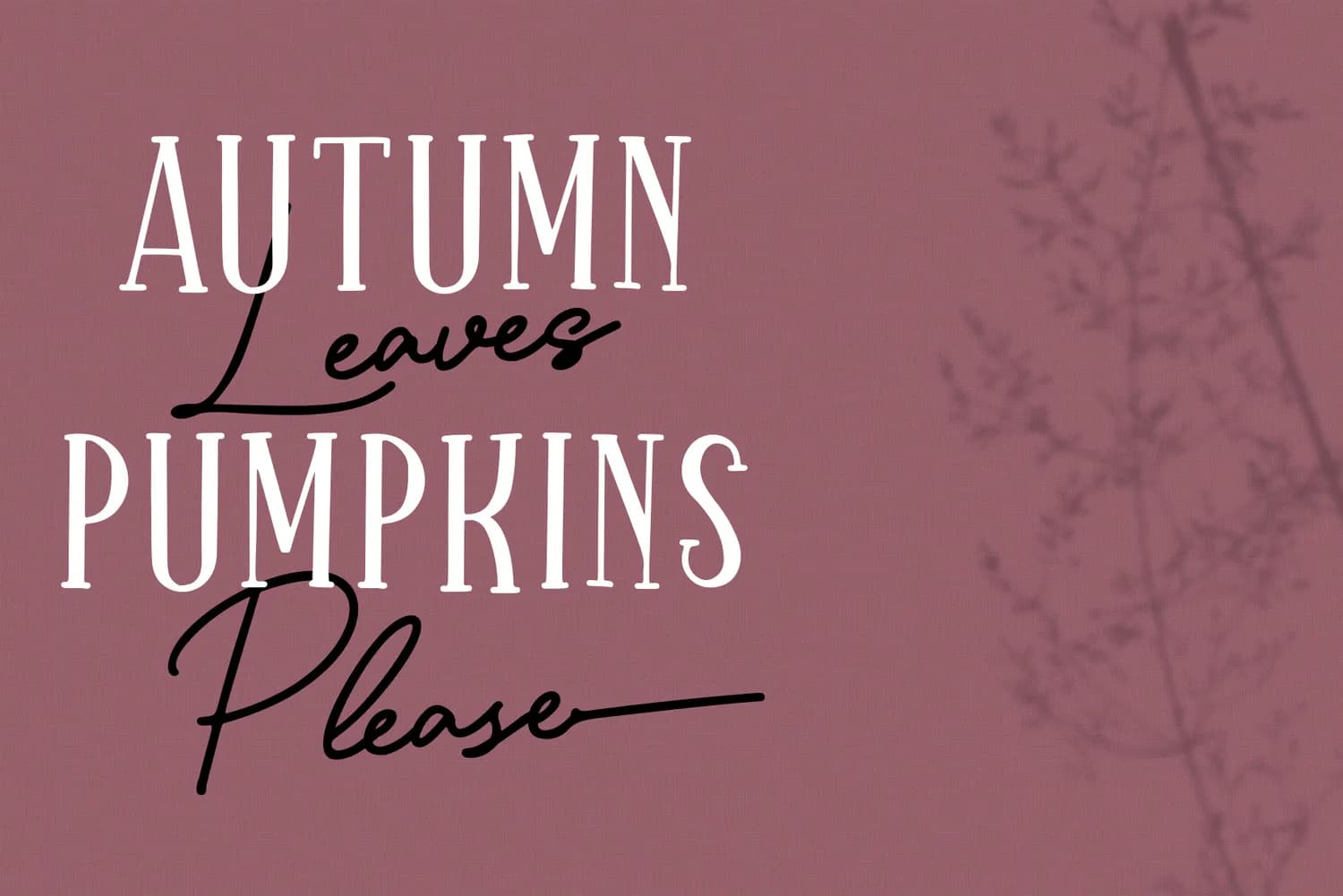 Sparkling Bright Serif