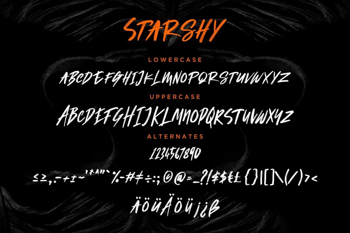 Starshy Street Brush