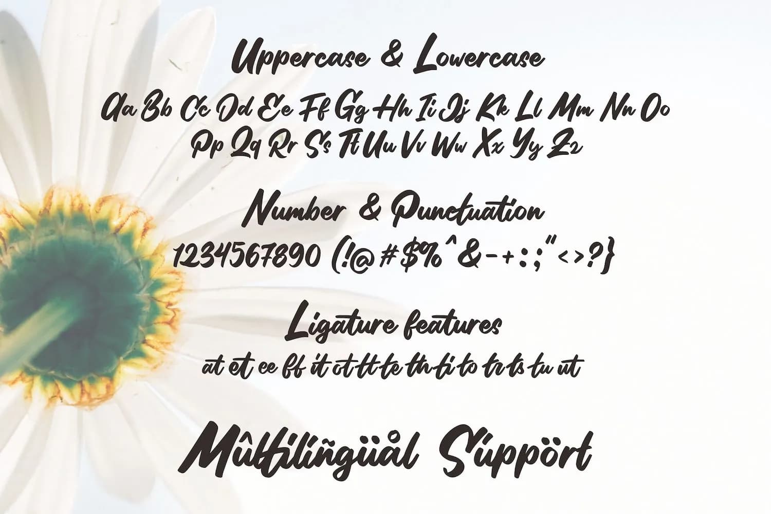 Stilda Script