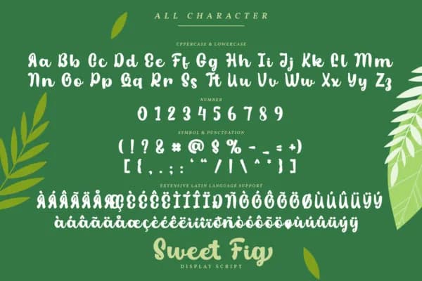 Sweet Fig