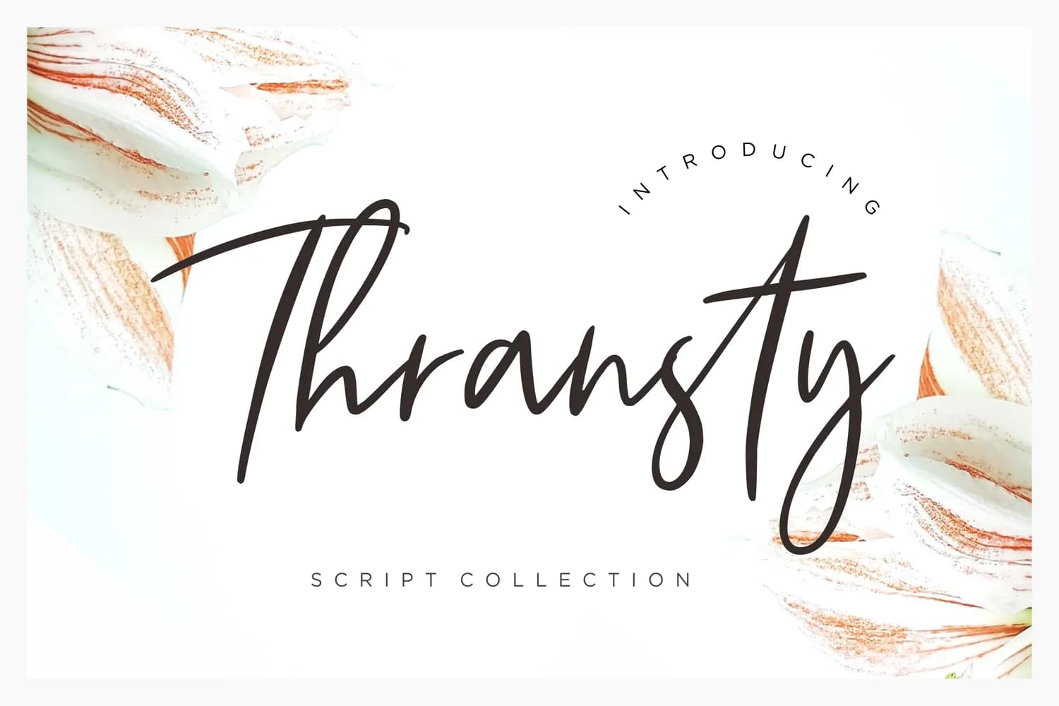 Thransty Handwritten Script