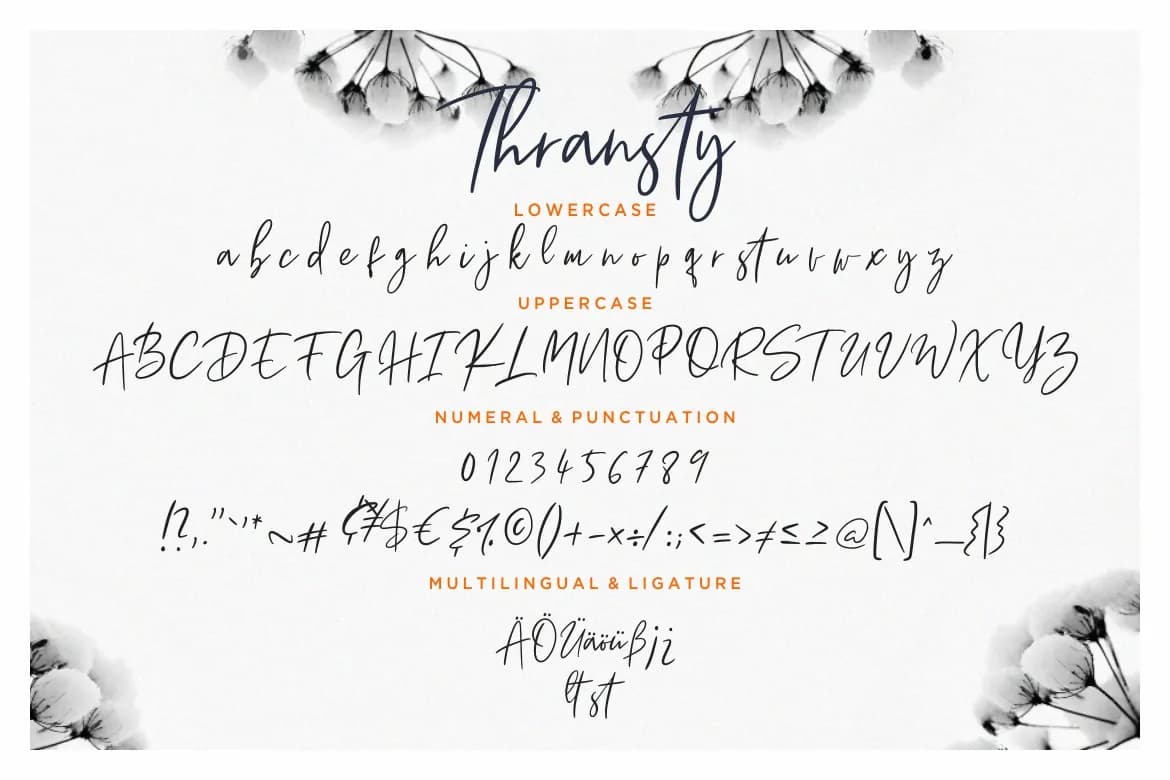 Thransty Handwritten Script