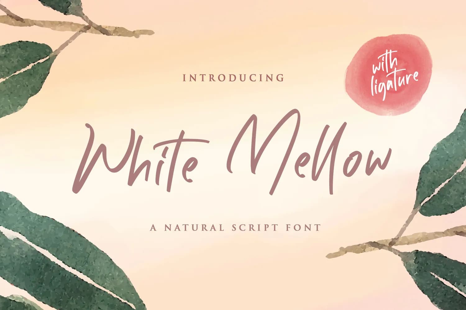 White Mellow