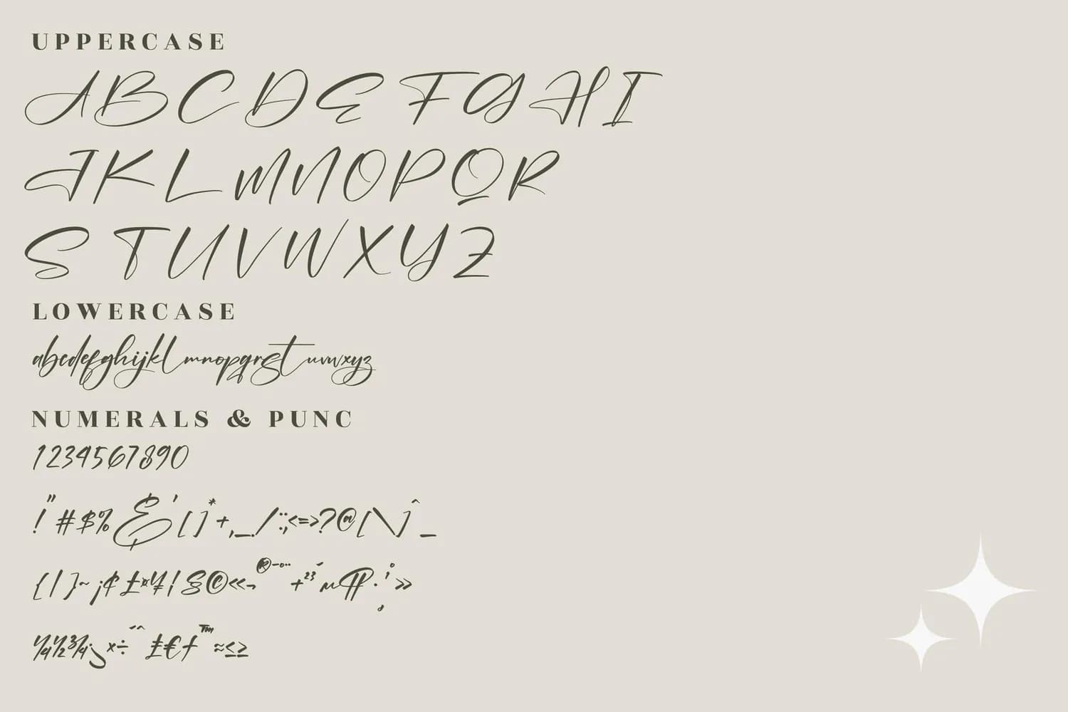 Alishanty Signature