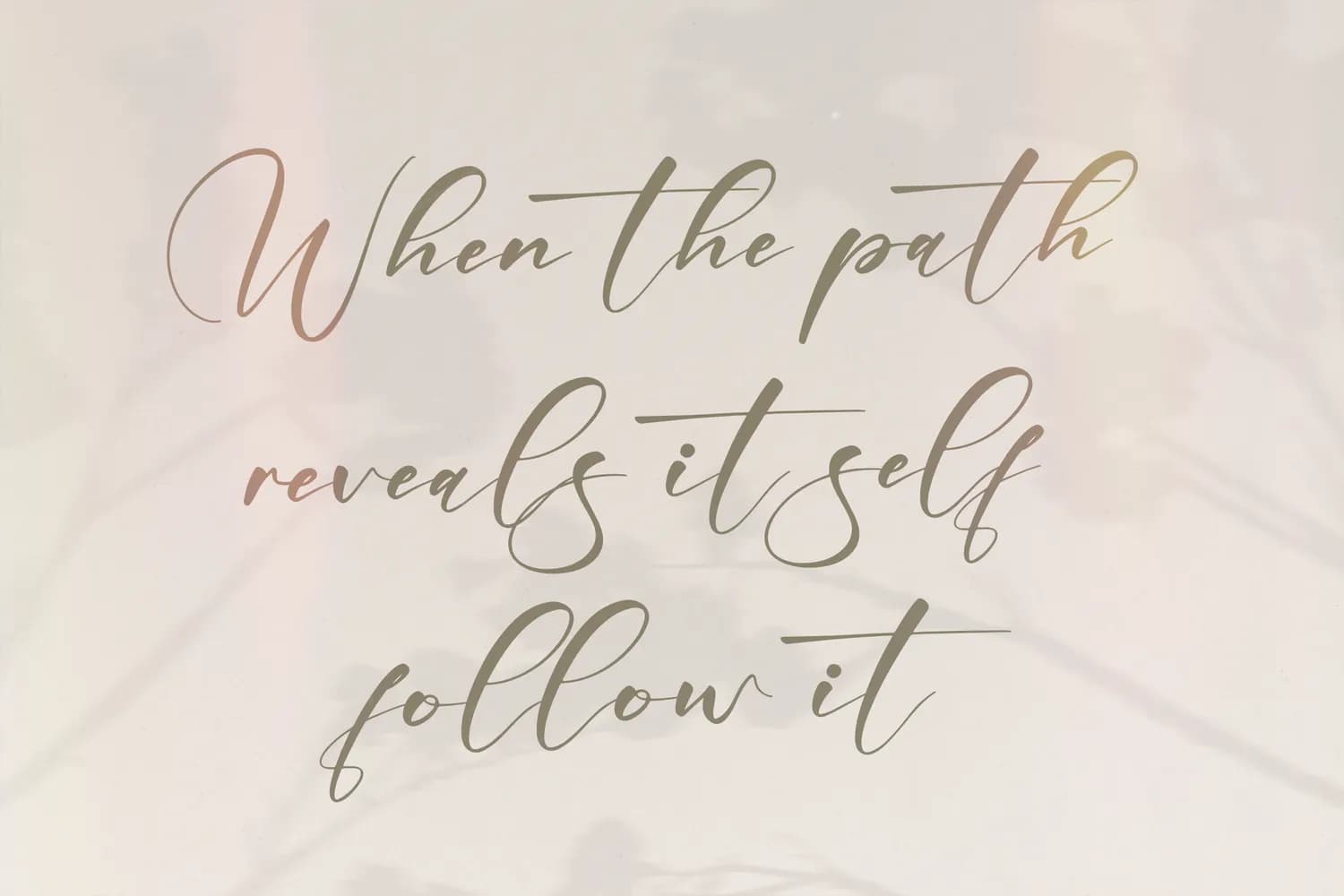 Amstera
