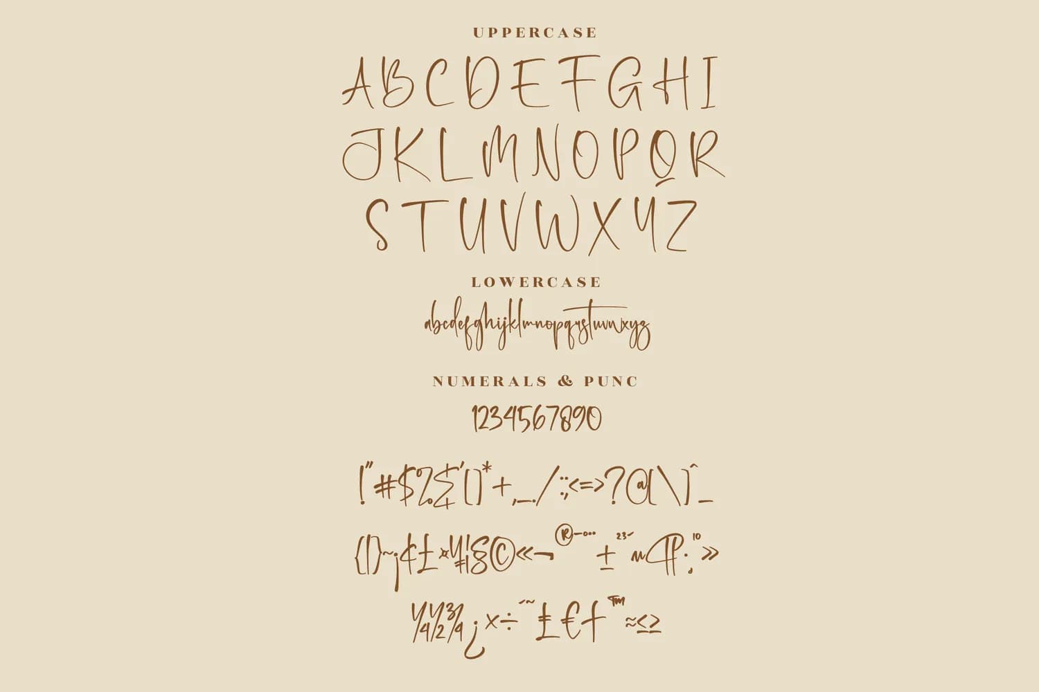 Amsterdam Bright