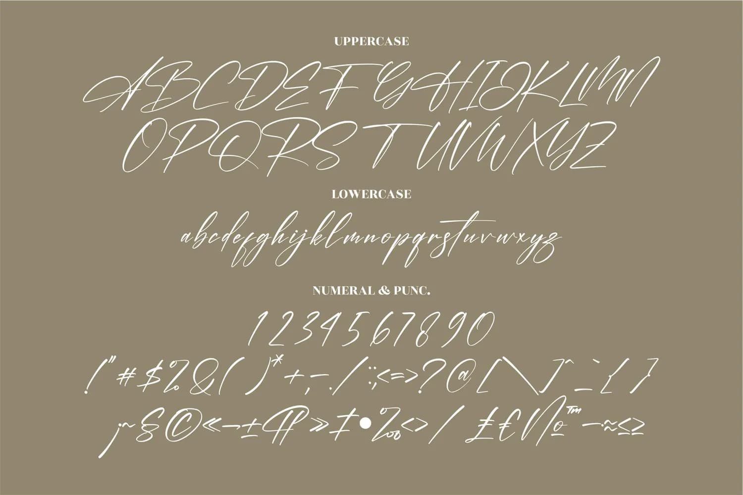 Amsterdam Signature