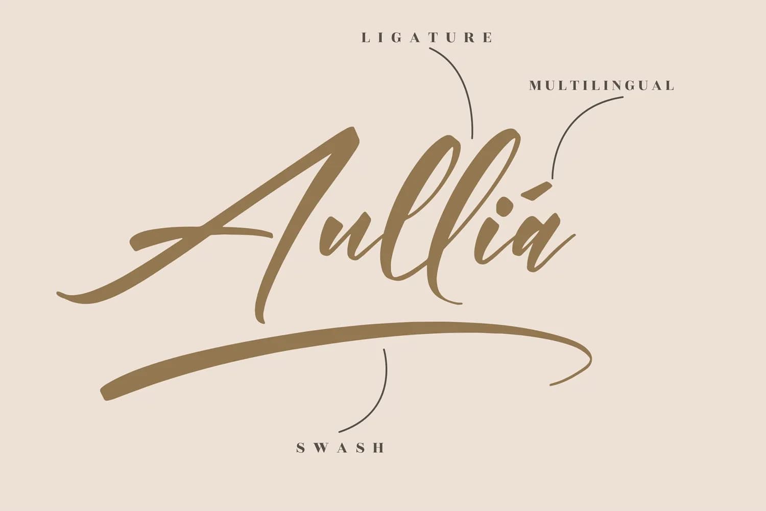 Andilanteria Signature