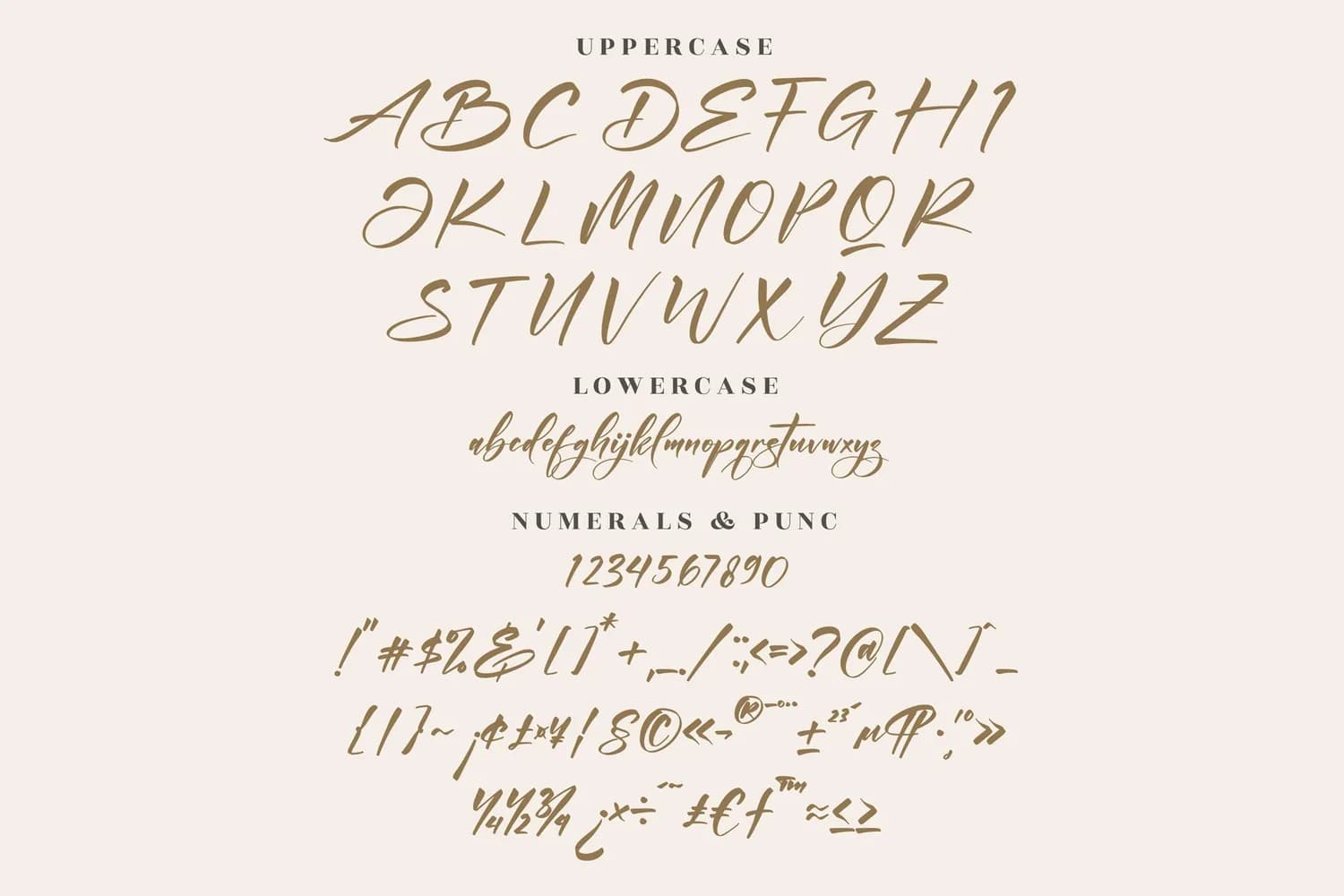Andilanteria Signature