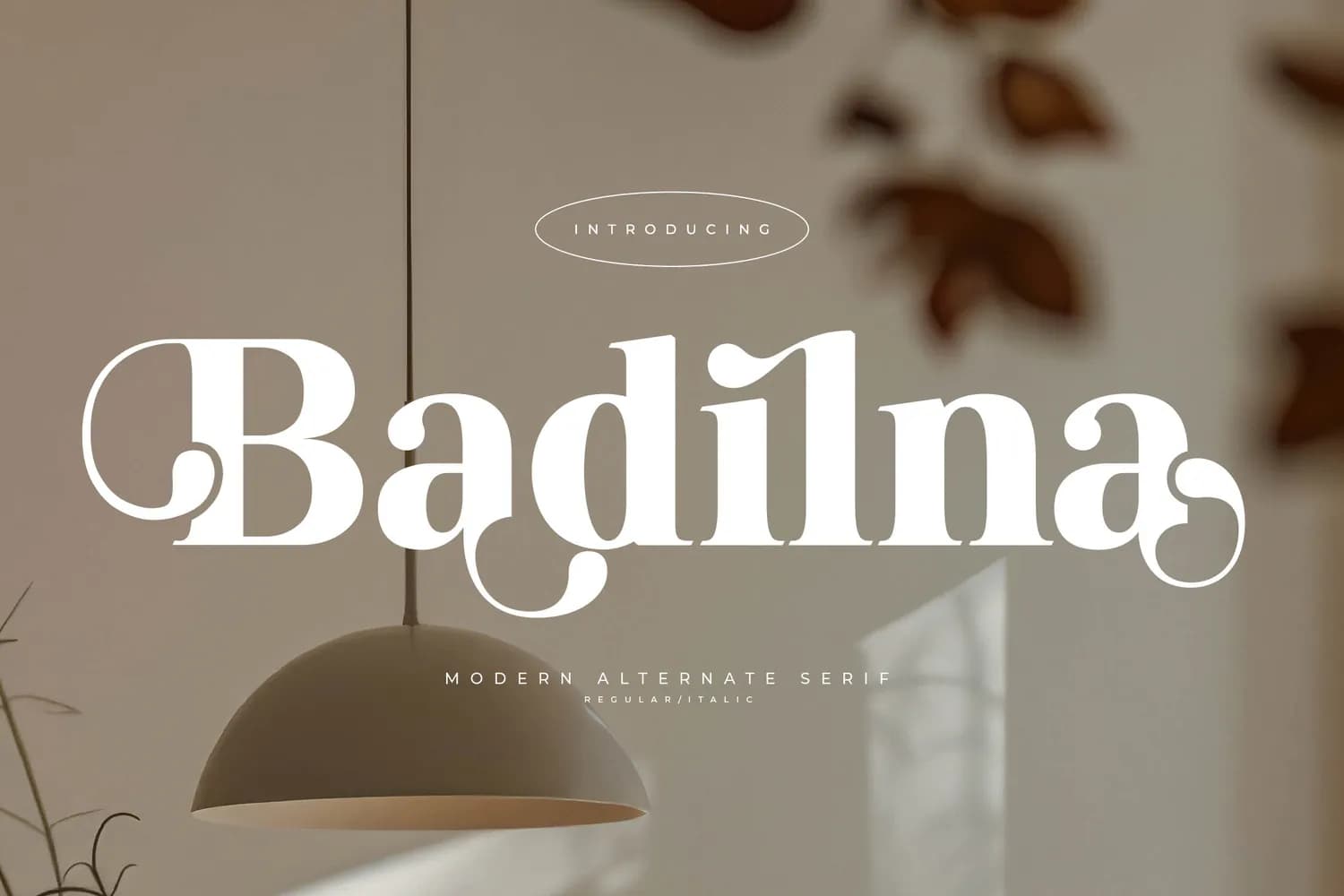 Badilna VERSION