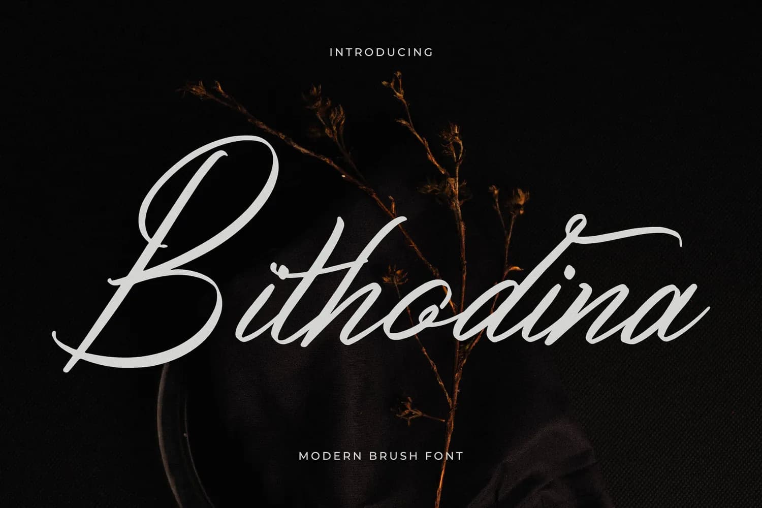 Bithodina