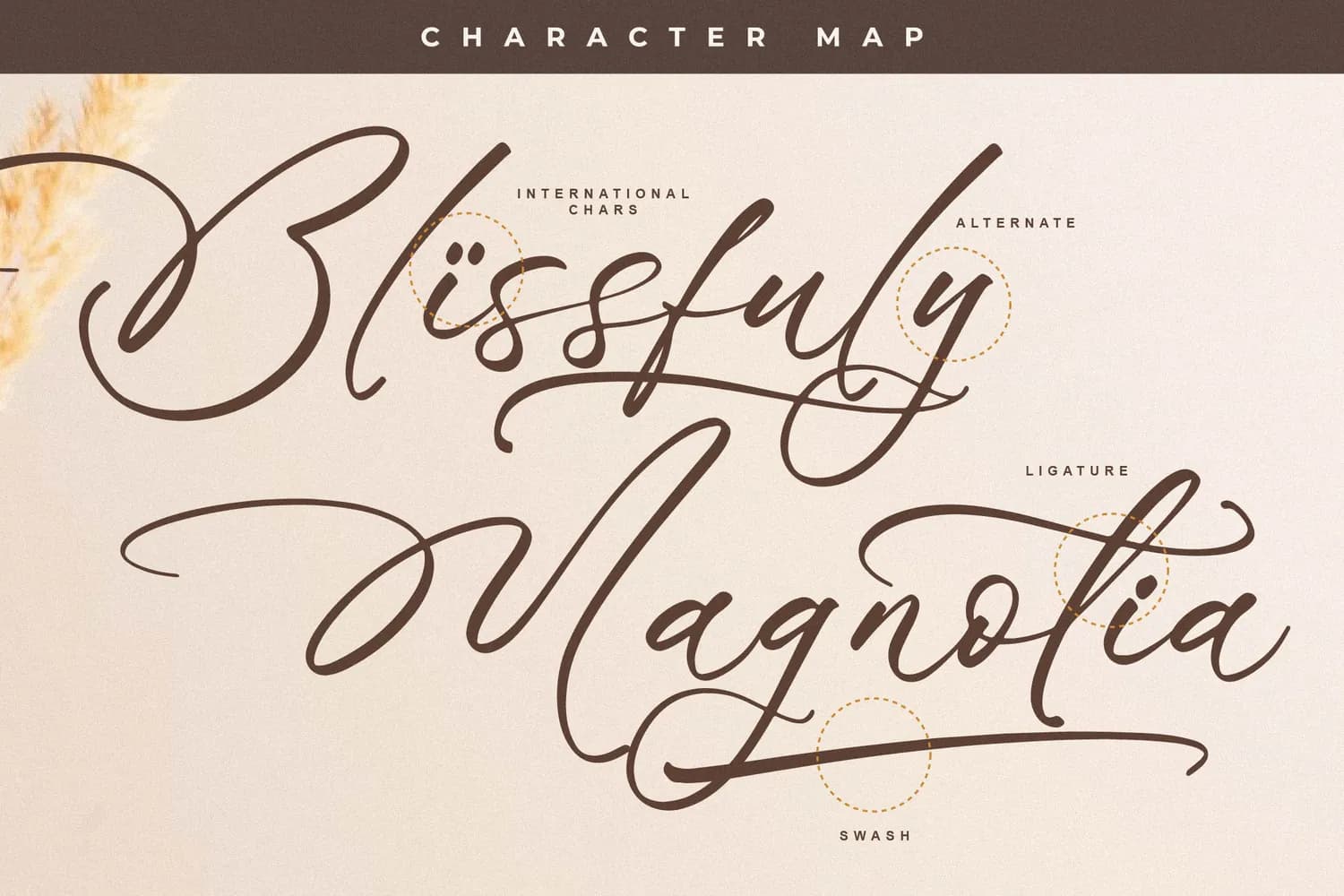 Blissfuly Magnotia