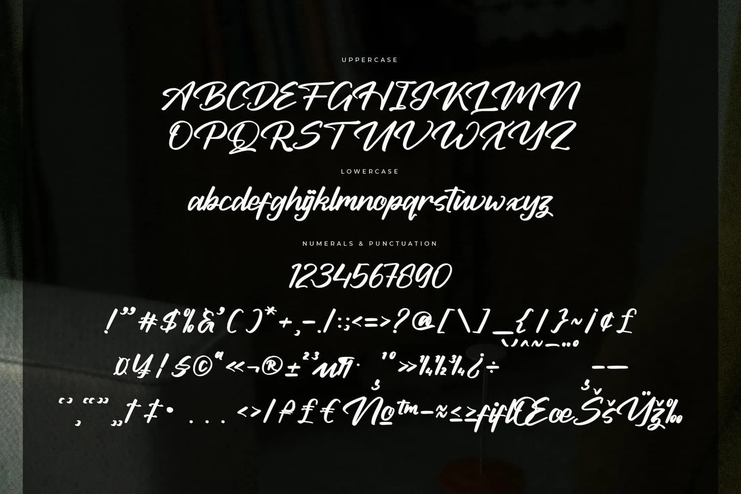 Bolinker Quantum