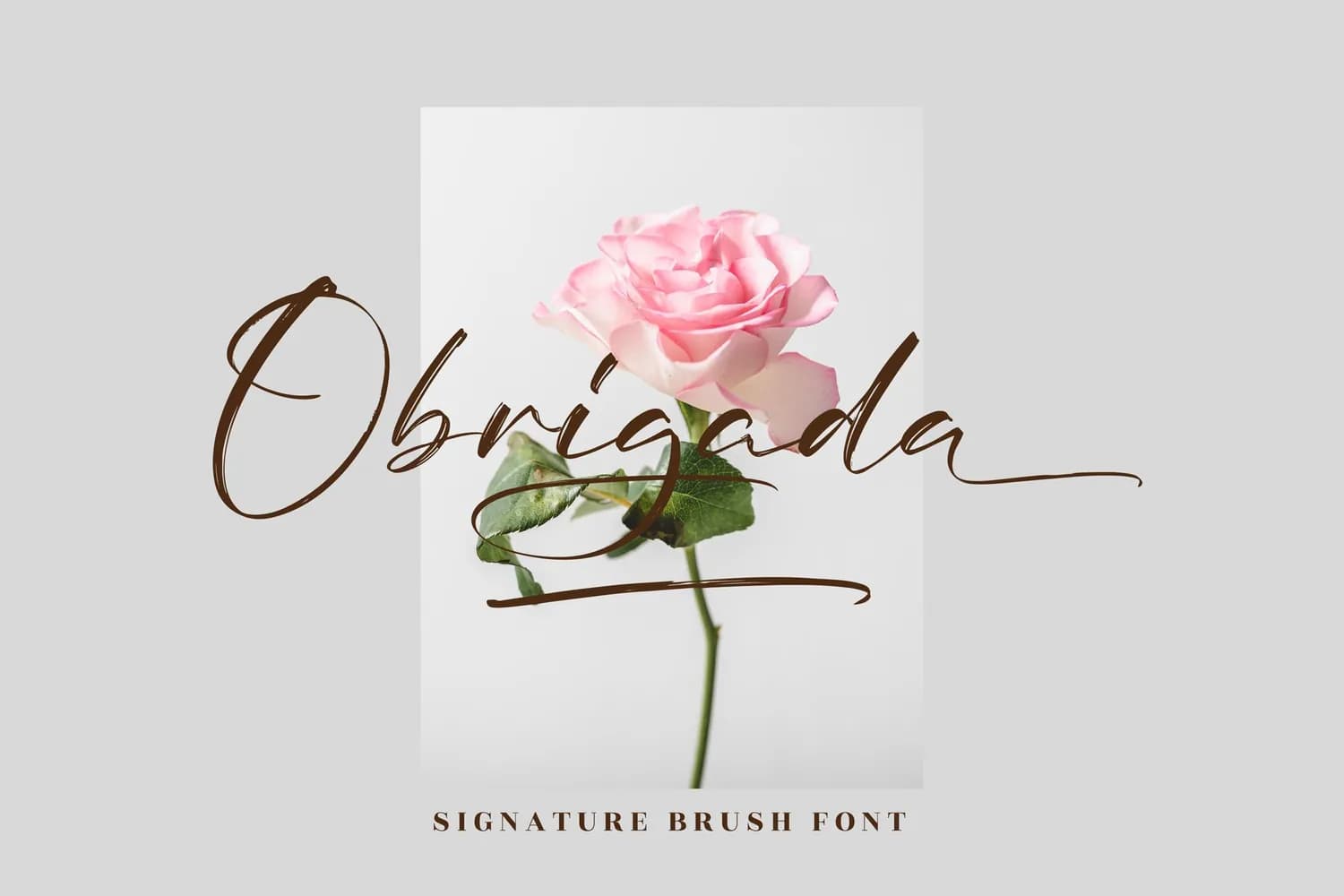 Bright Rose