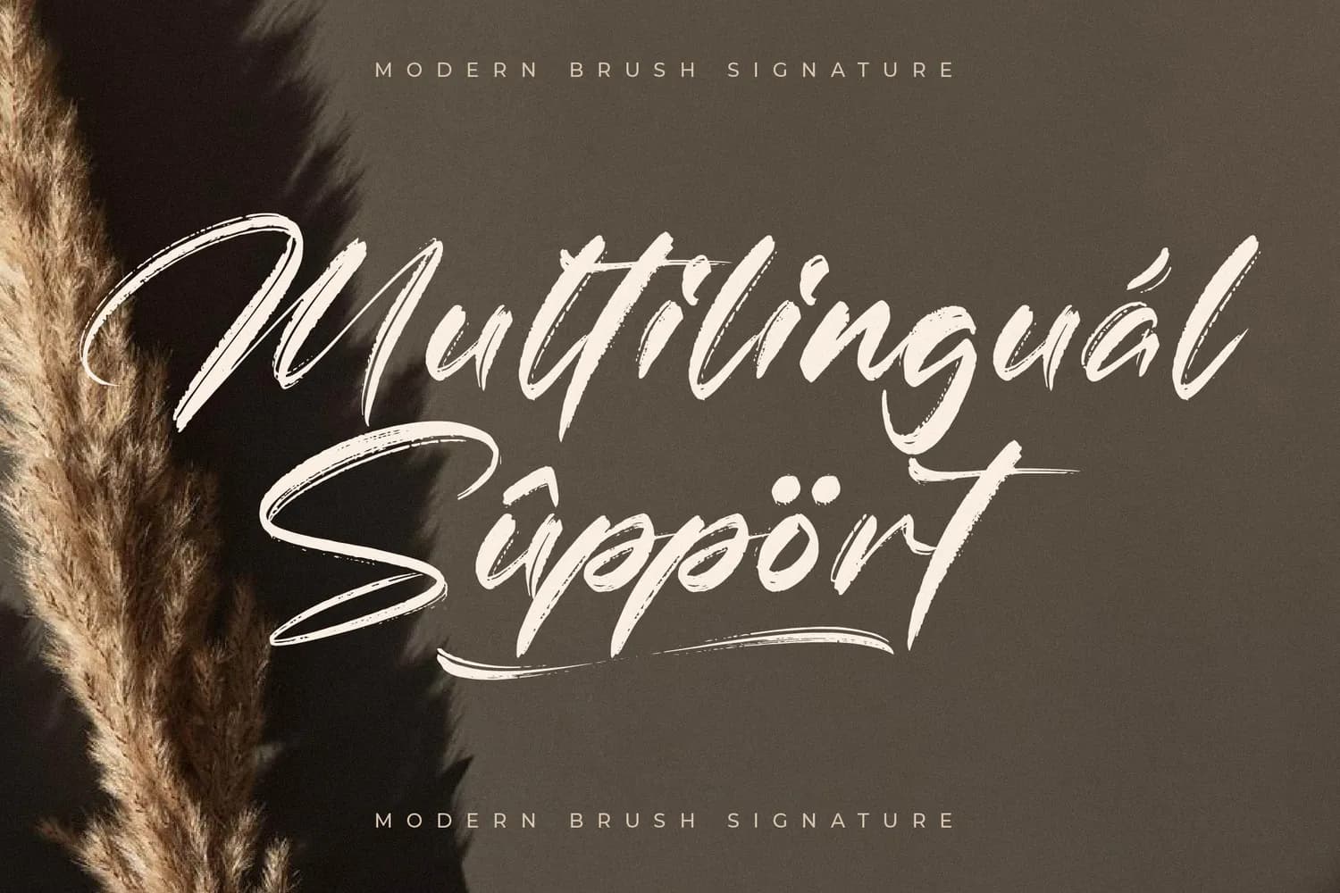Brightton Puredis