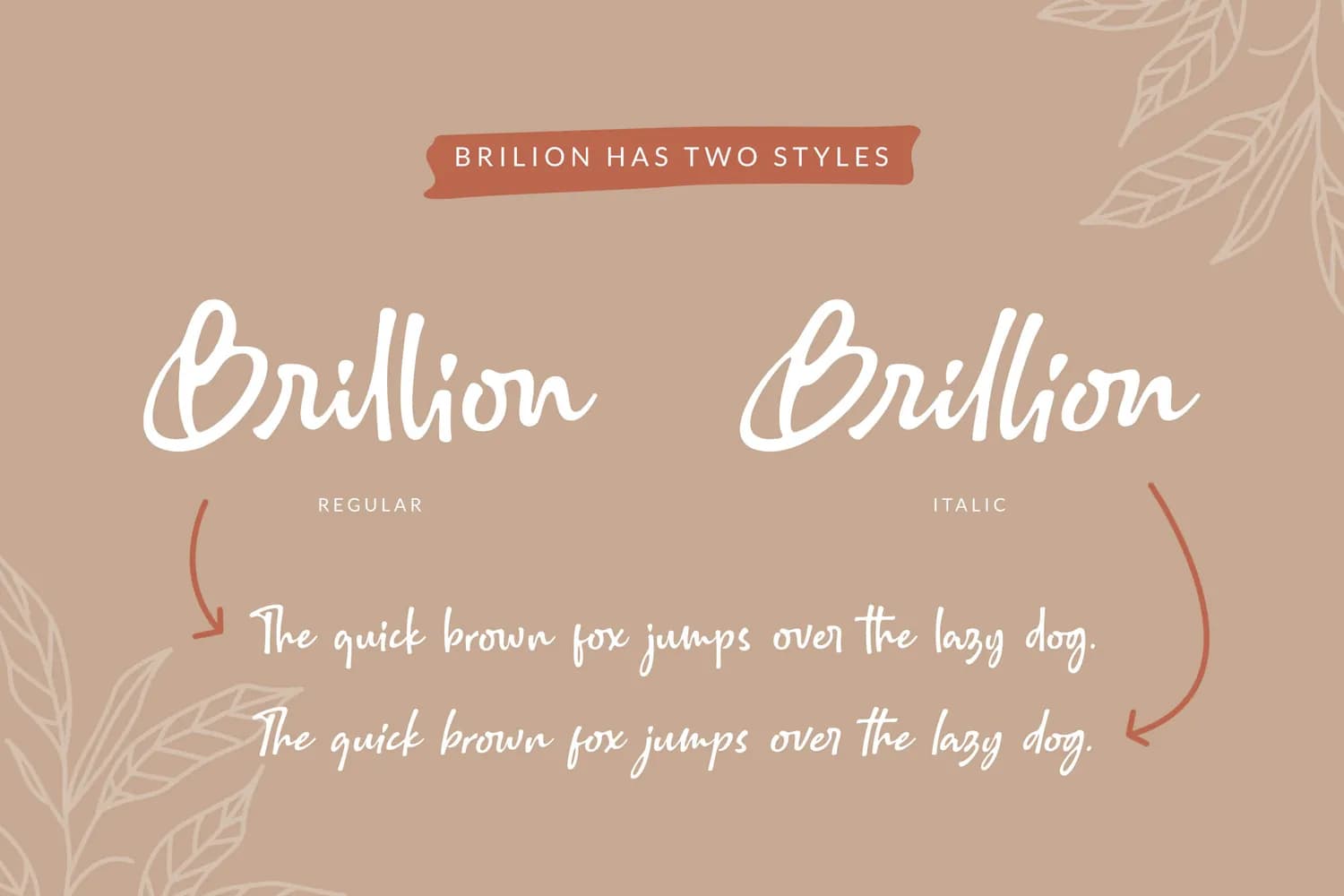 Brillion Rounded Script