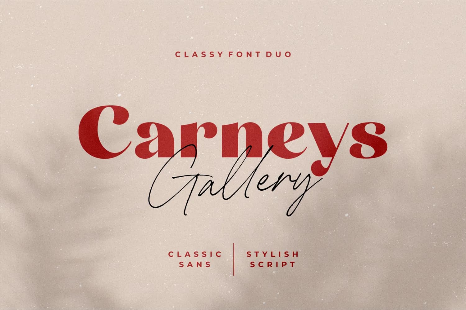 Carneys Gallery Script