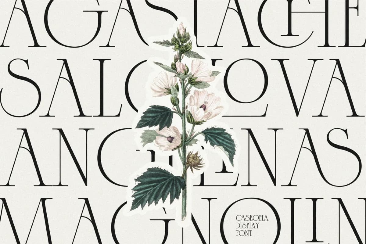 Caseopia