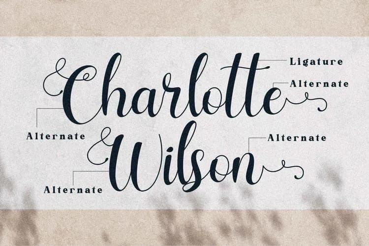 Charlotte Wilson