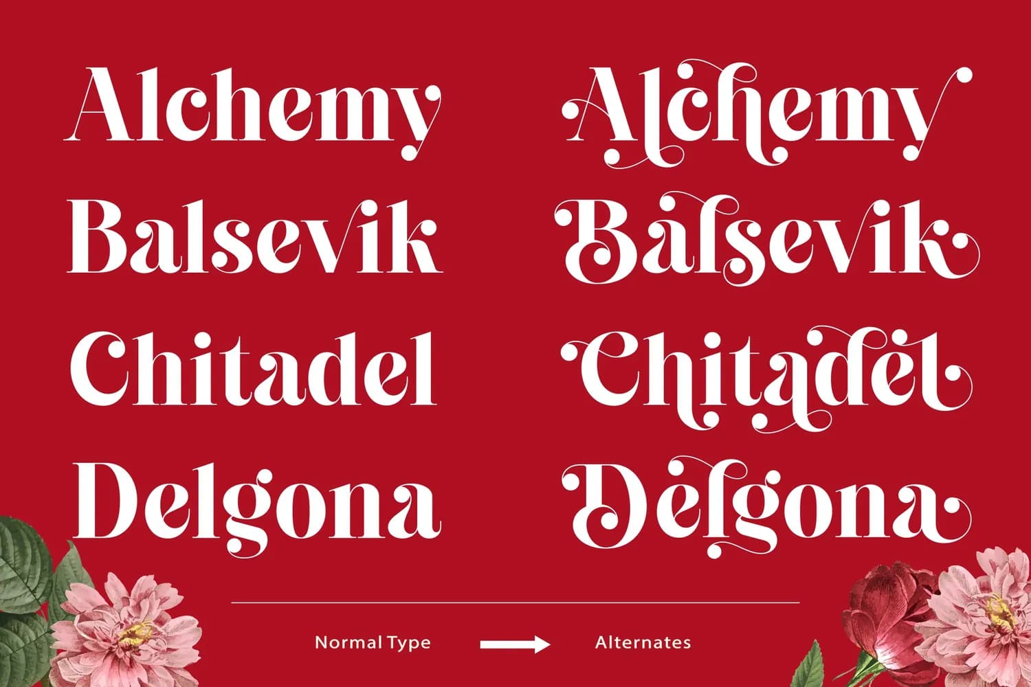Cheva Display