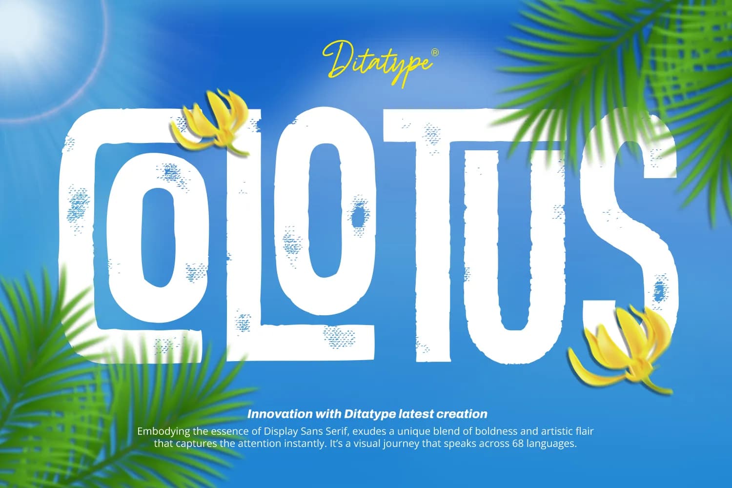Colotus