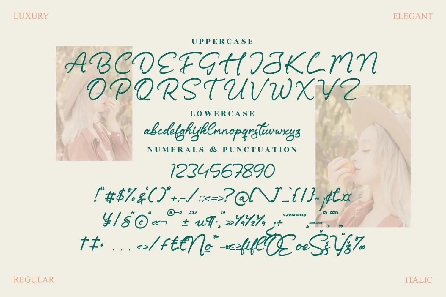 Driscutty Signature