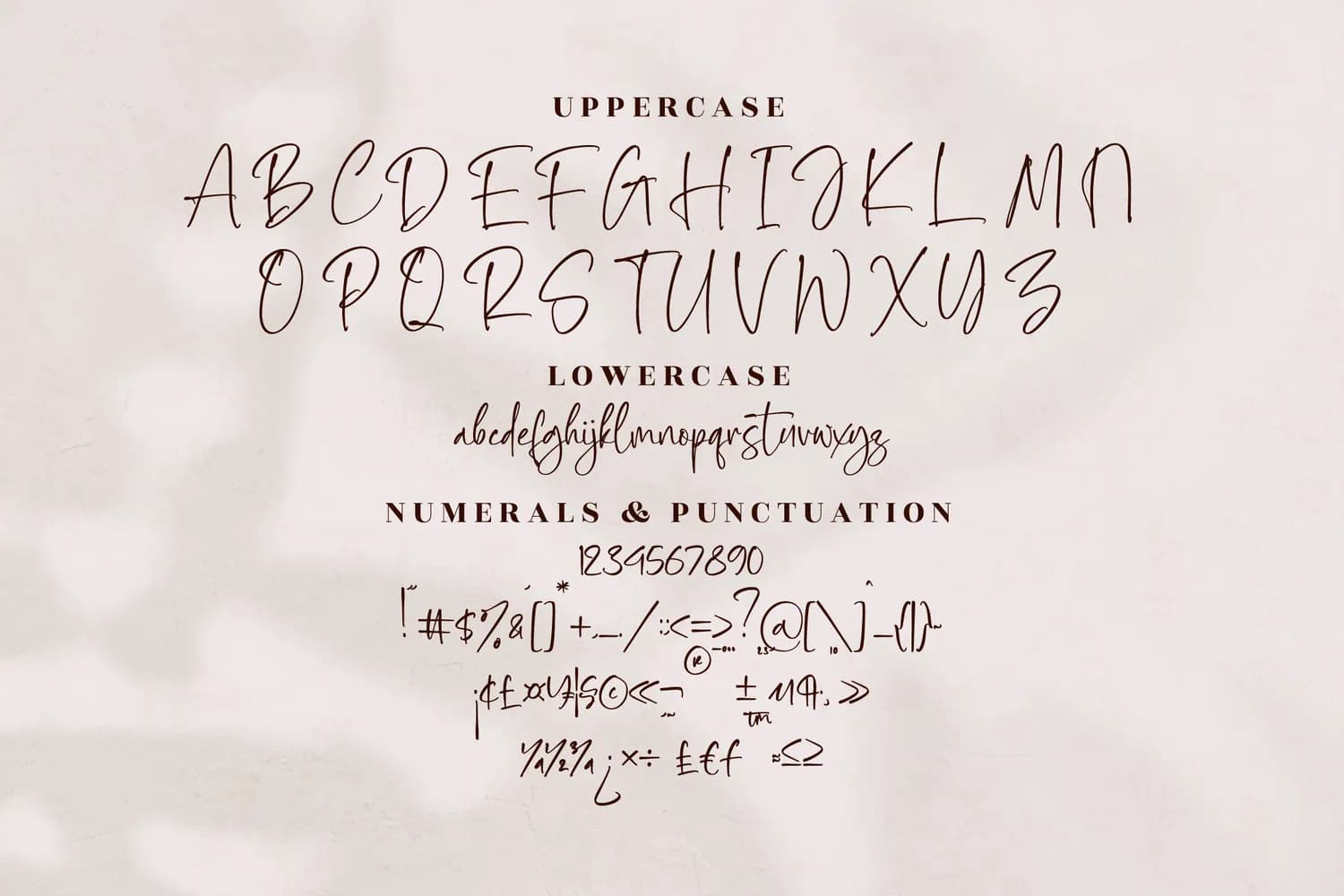 Fotalica Hoitman