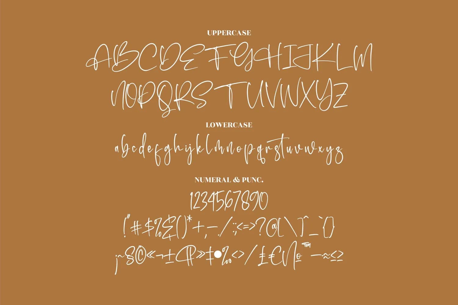 Handwritten Signature