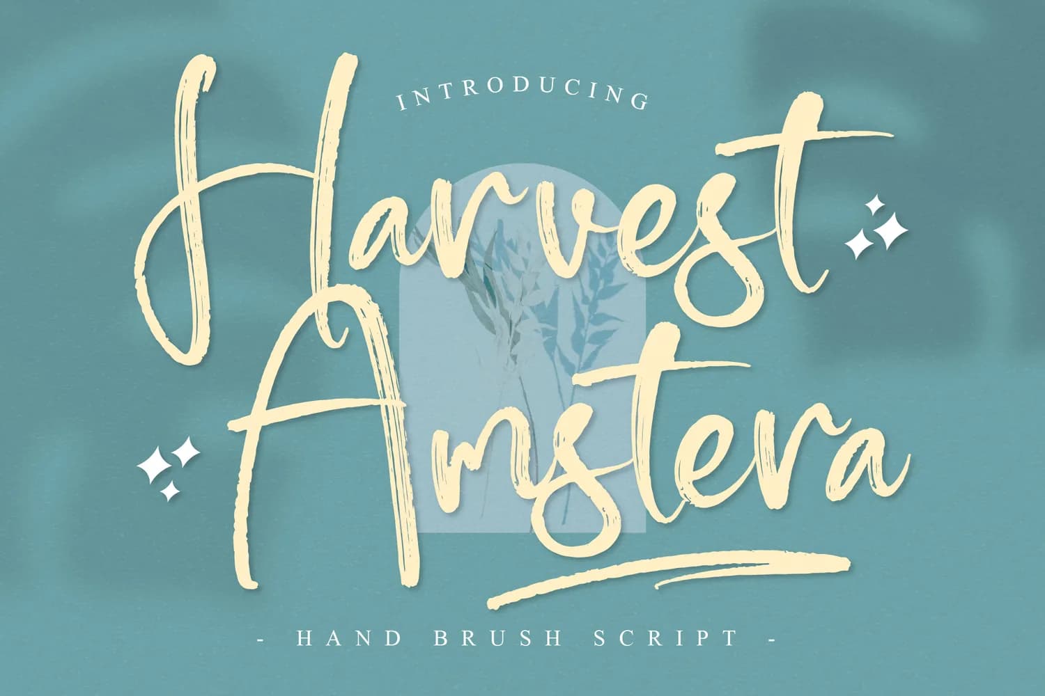 Harvest Amstera